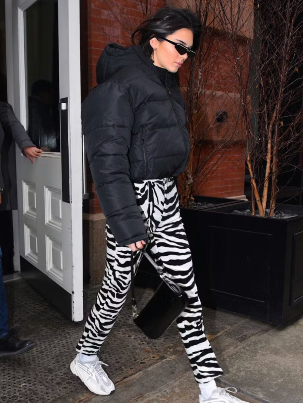 Auto Body Daisy Pants in Zebra Velvet, sz. 30, Sold out!